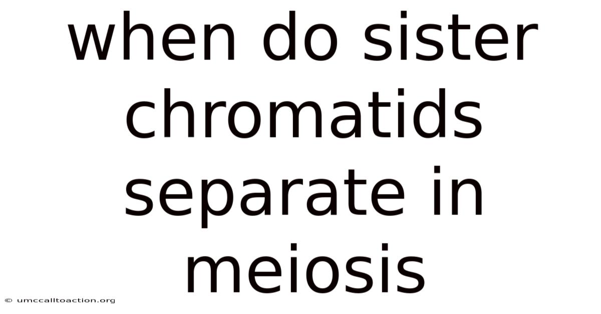 When Do Sister Chromatids Separate In Meiosis