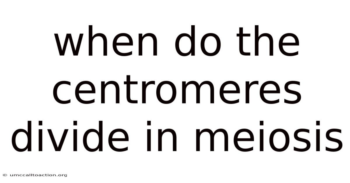When Do The Centromeres Divide In Meiosis