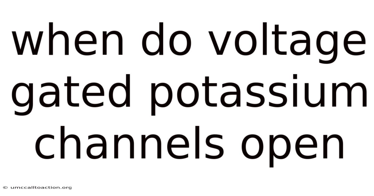 When Do Voltage Gated Potassium Channels Open