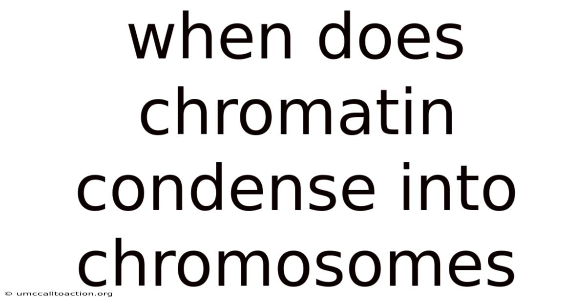 When Does Chromatin Condense Into Chromosomes