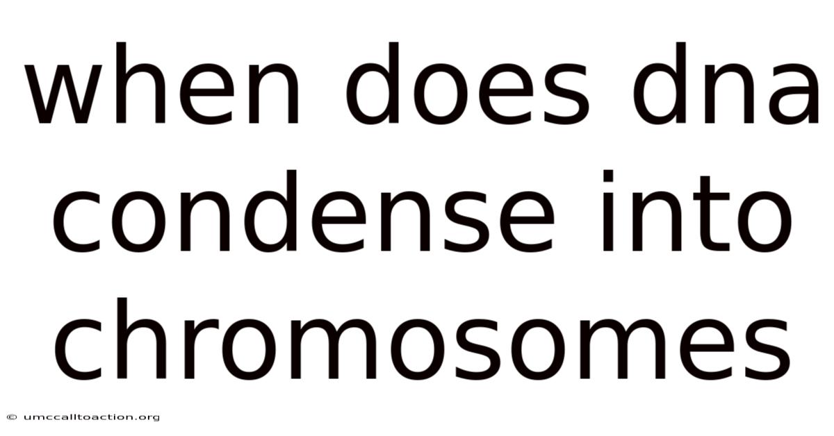 When Does Dna Condense Into Chromosomes