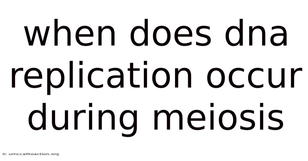 When Does Dna Replication Occur During Meiosis