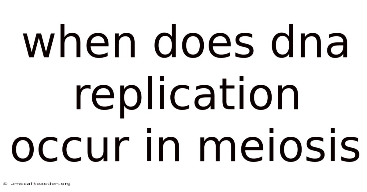 When Does Dna Replication Occur In Meiosis