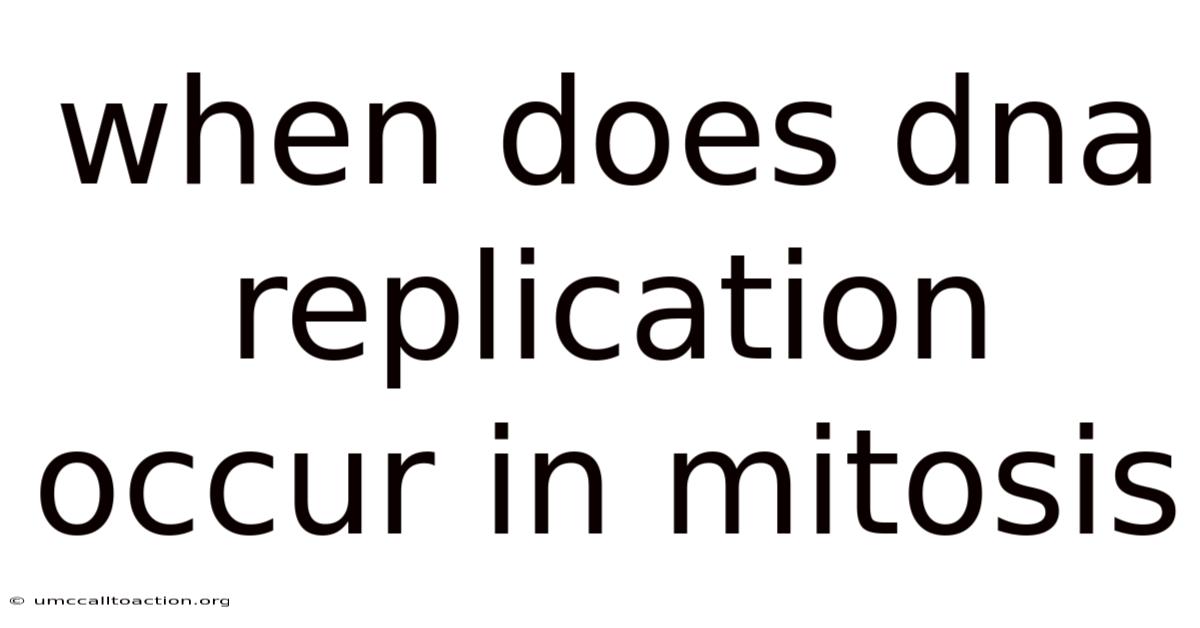 When Does Dna Replication Occur In Mitosis