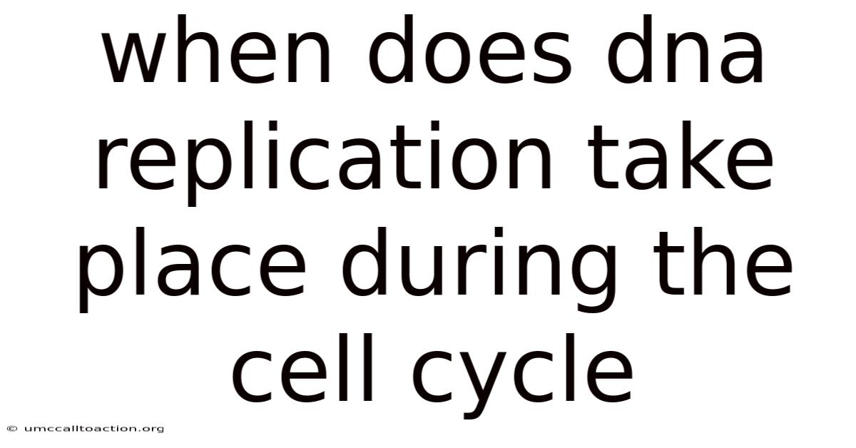 When Does Dna Replication Take Place During The Cell Cycle