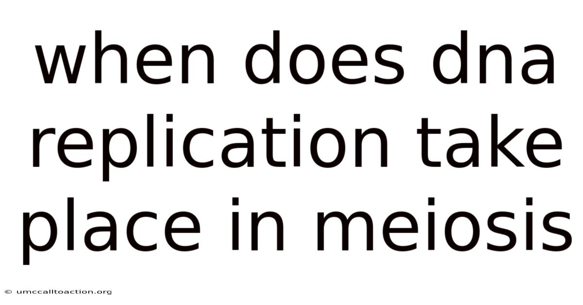 When Does Dna Replication Take Place In Meiosis