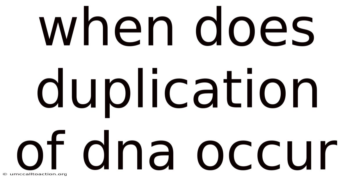 When Does Duplication Of Dna Occur