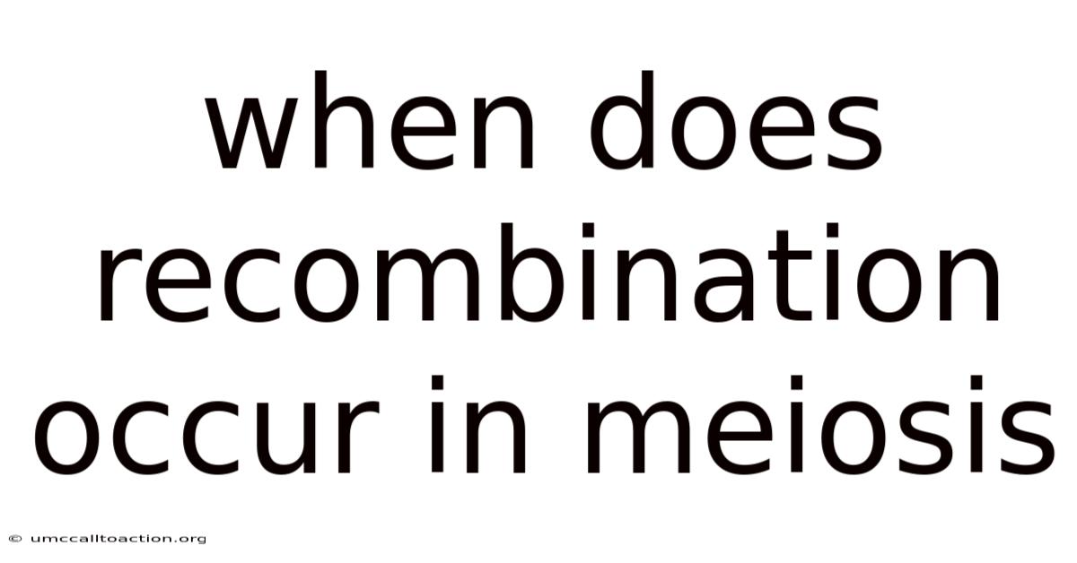 When Does Recombination Occur In Meiosis