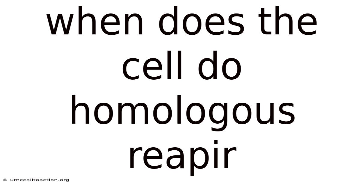 When Does The Cell Do Homologous Reapir