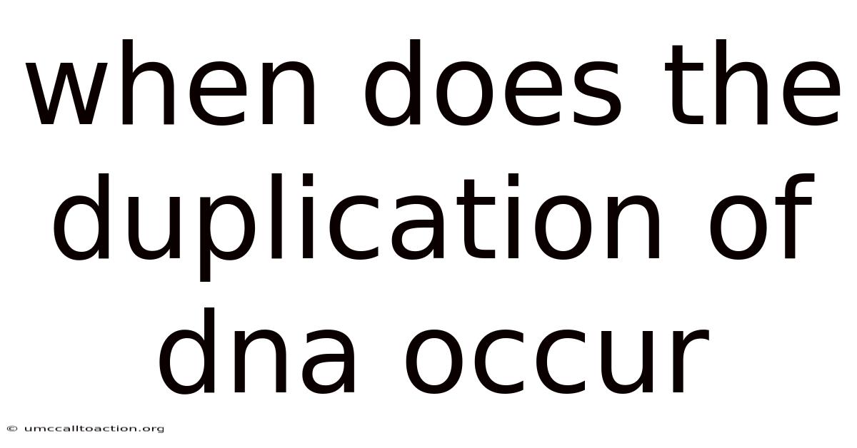 When Does The Duplication Of Dna Occur