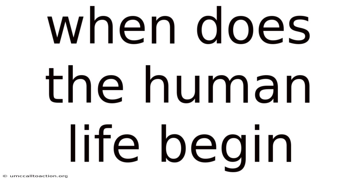 When Does The Human Life Begin