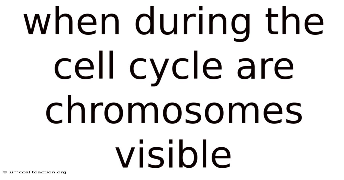 When During The Cell Cycle Are Chromosomes Visible