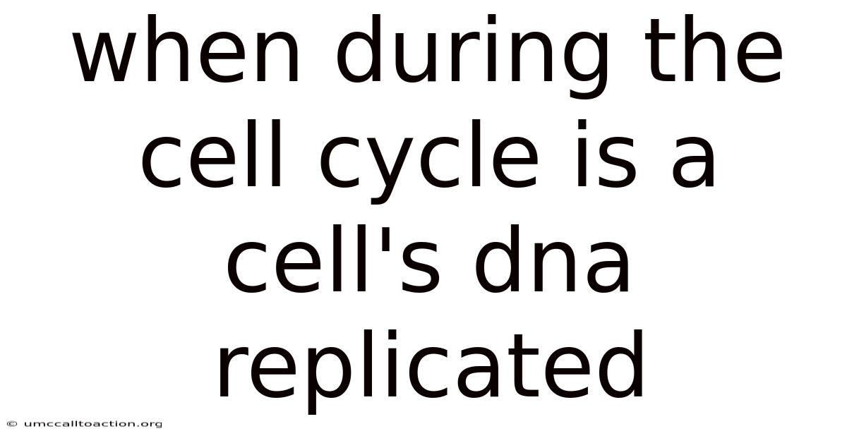 When During The Cell Cycle Is A Cell's Dna Replicated