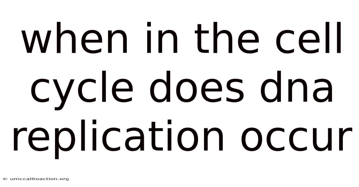 When In The Cell Cycle Does Dna Replication Occur