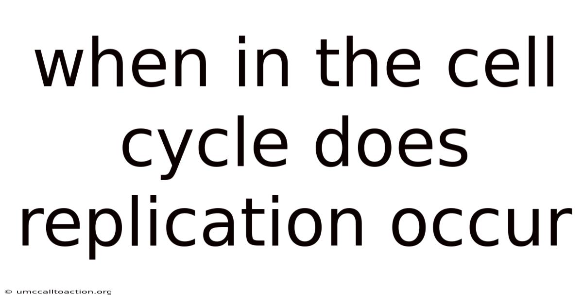 When In The Cell Cycle Does Replication Occur