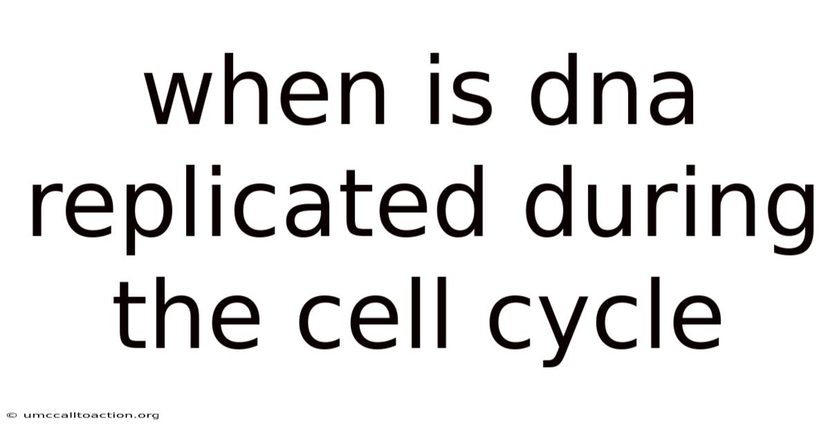 When Is Dna Replicated During The Cell Cycle