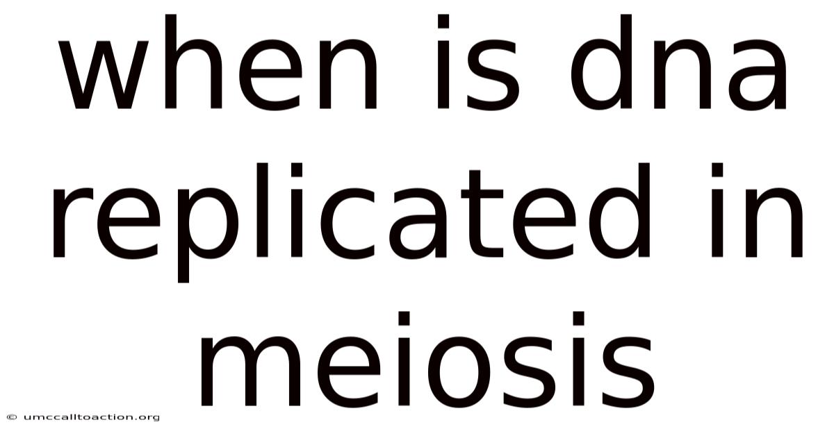 When Is Dna Replicated In Meiosis