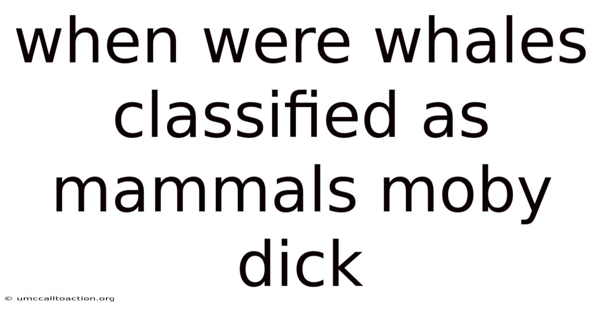 When Were Whales Classified As Mammals Moby Dick