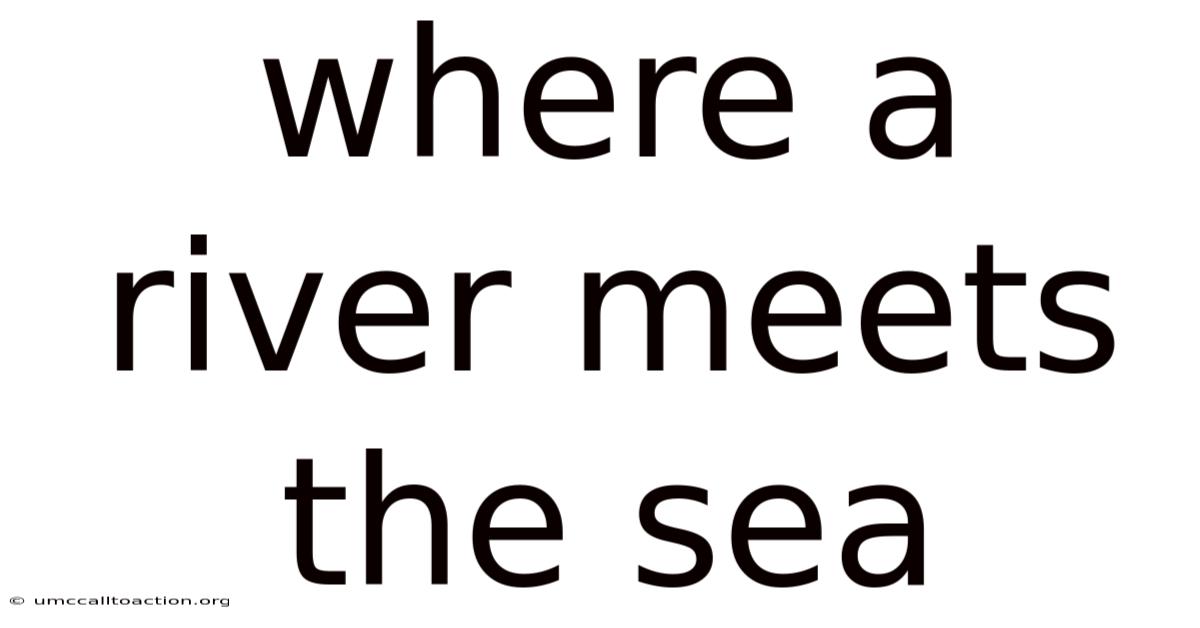 Where A River Meets The Sea