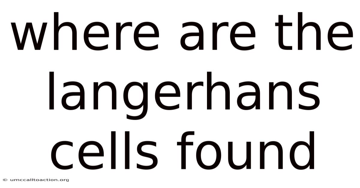 Where Are The Langerhans Cells Found