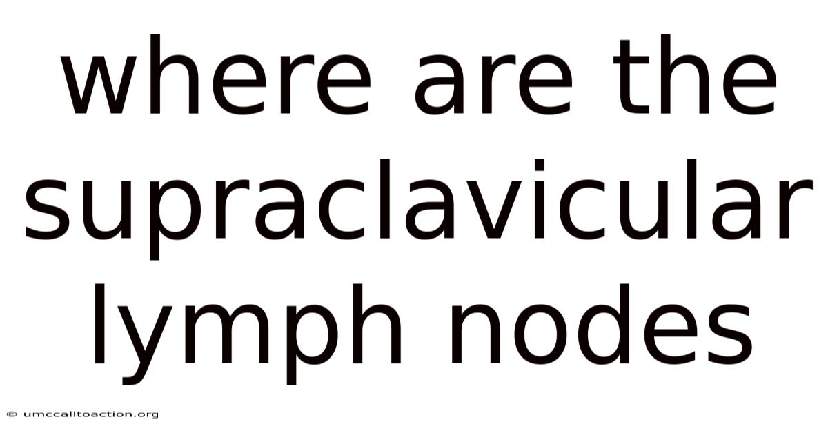 Where Are The Supraclavicular Lymph Nodes