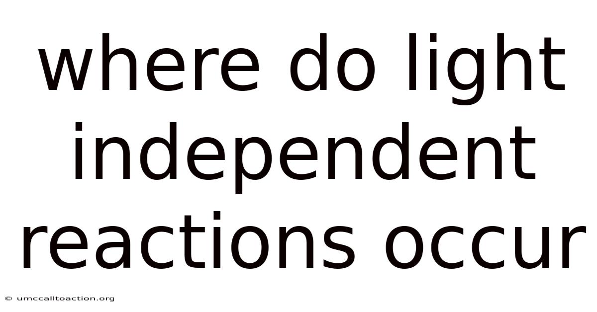 Where Do Light Independent Reactions Occur