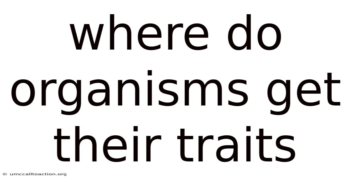 Where Do Organisms Get Their Traits