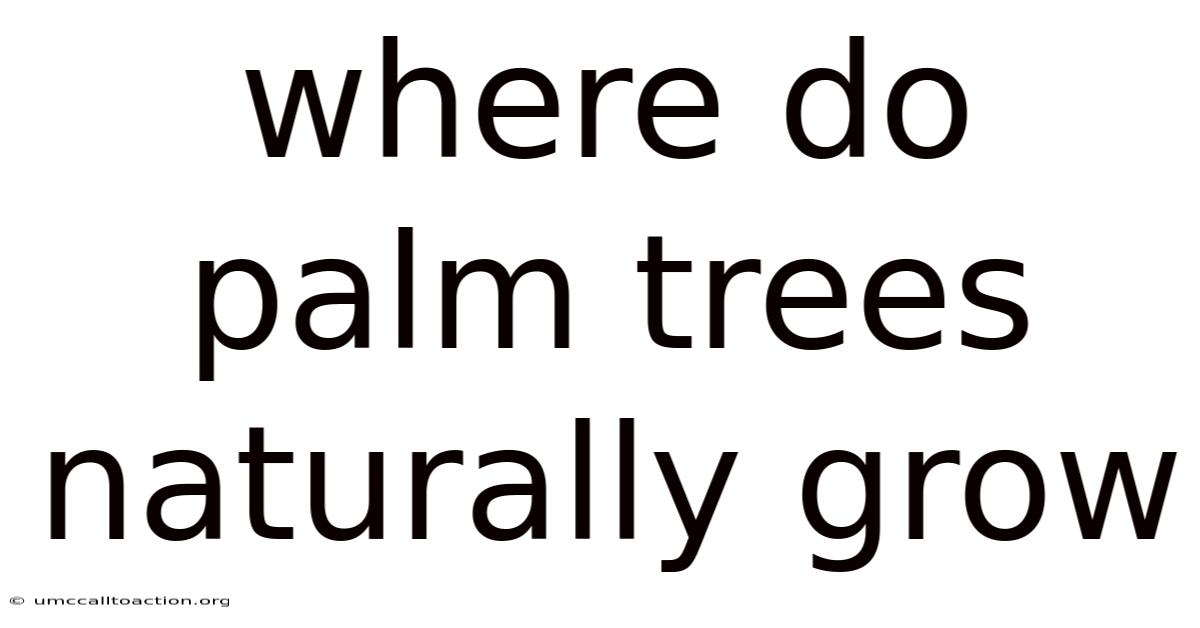 Where Do Palm Trees Naturally Grow