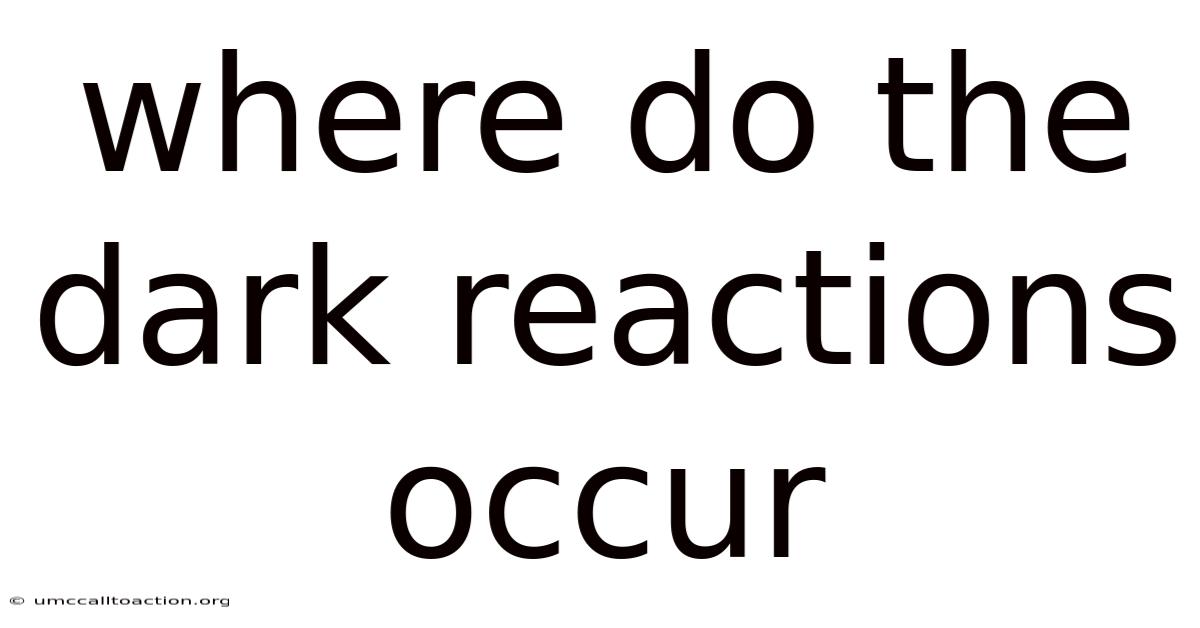Where Do The Dark Reactions Occur