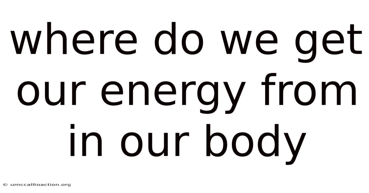 Where Do We Get Our Energy From In Our Body