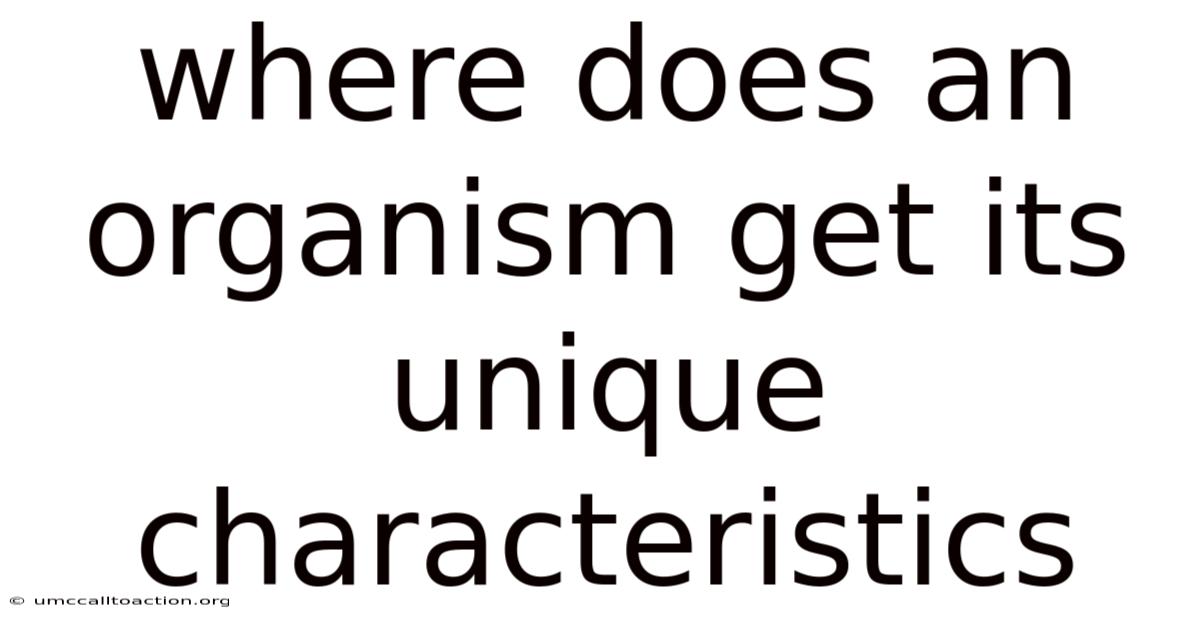 Where Does An Organism Get Its Unique Characteristics