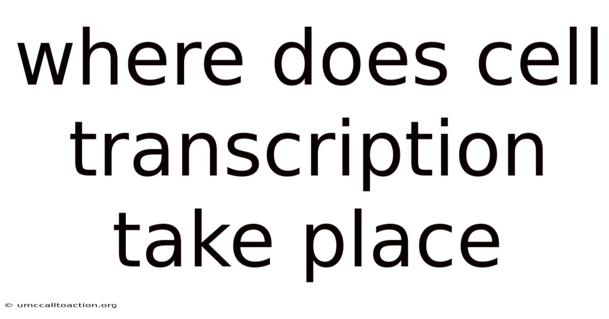 Where Does Cell Transcription Take Place