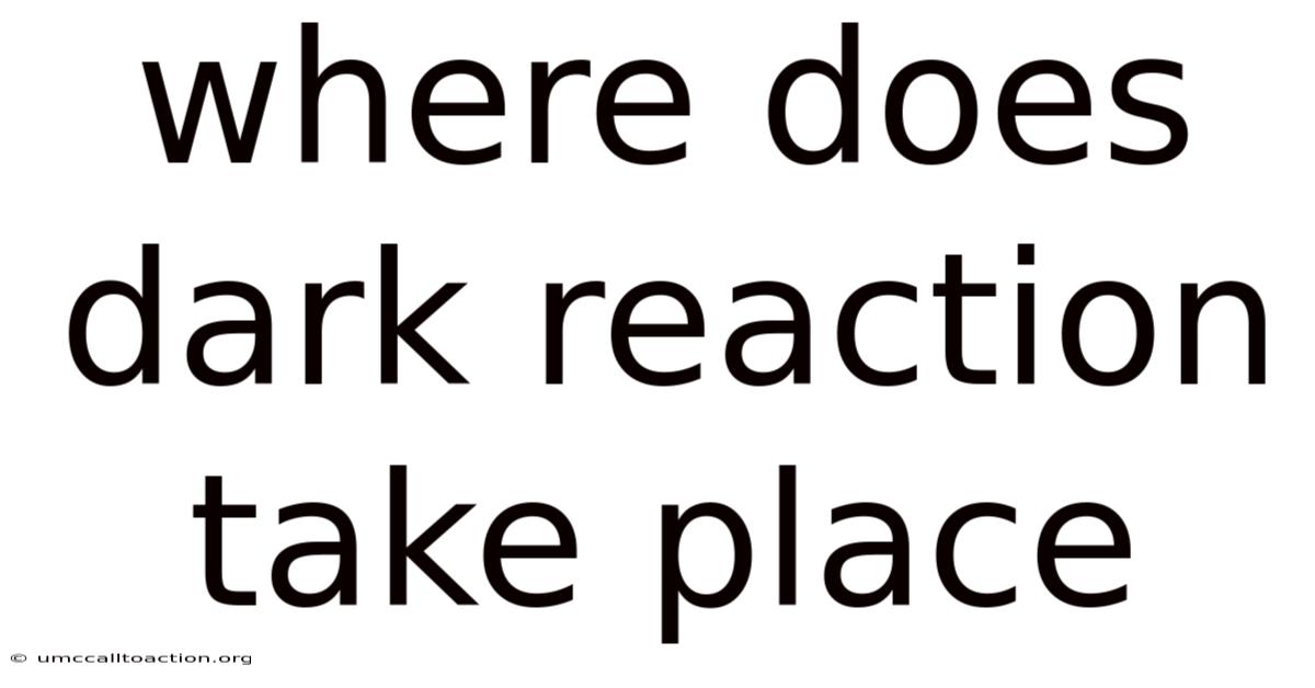 Where Does Dark Reaction Take Place