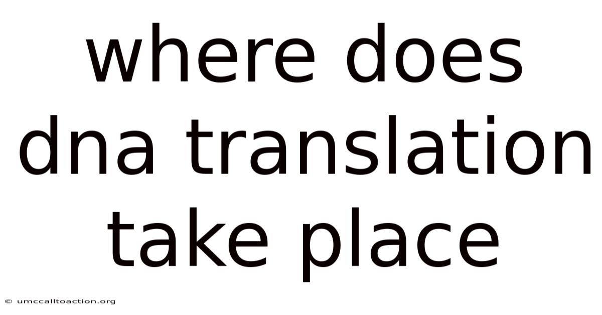 Where Does Dna Translation Take Place