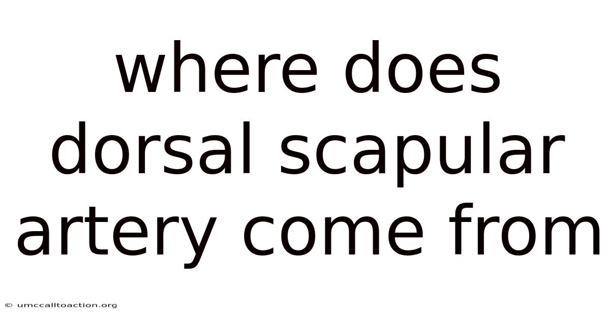 Where Does Dorsal Scapular Artery Come From