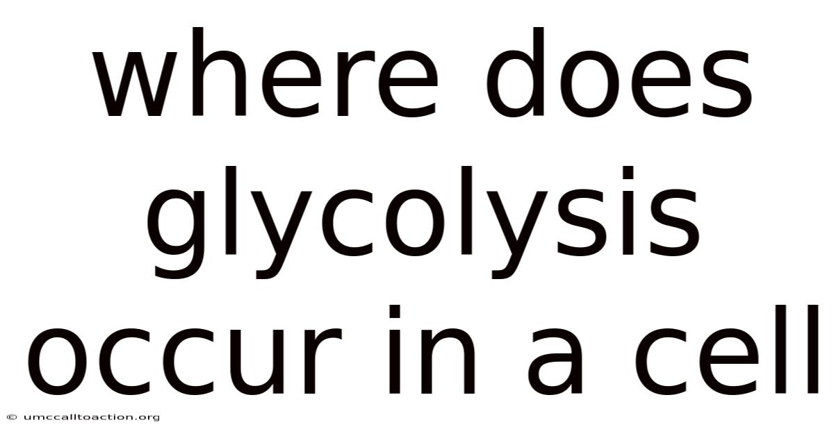 Where Does Glycolysis Occur In A Cell