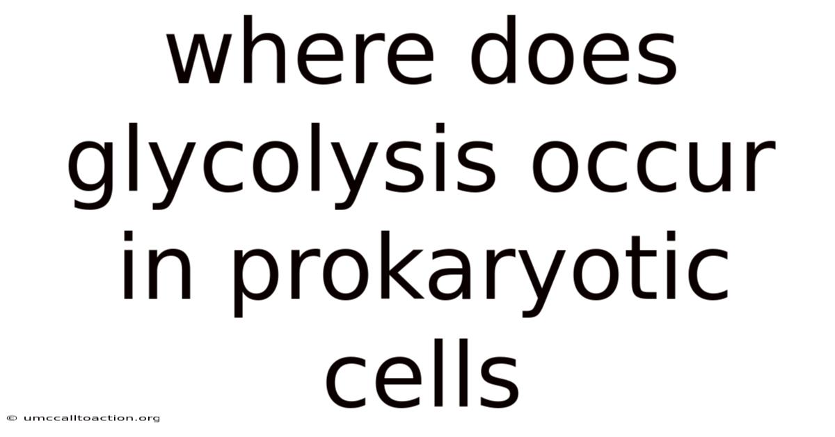 Where Does Glycolysis Occur In Prokaryotic Cells