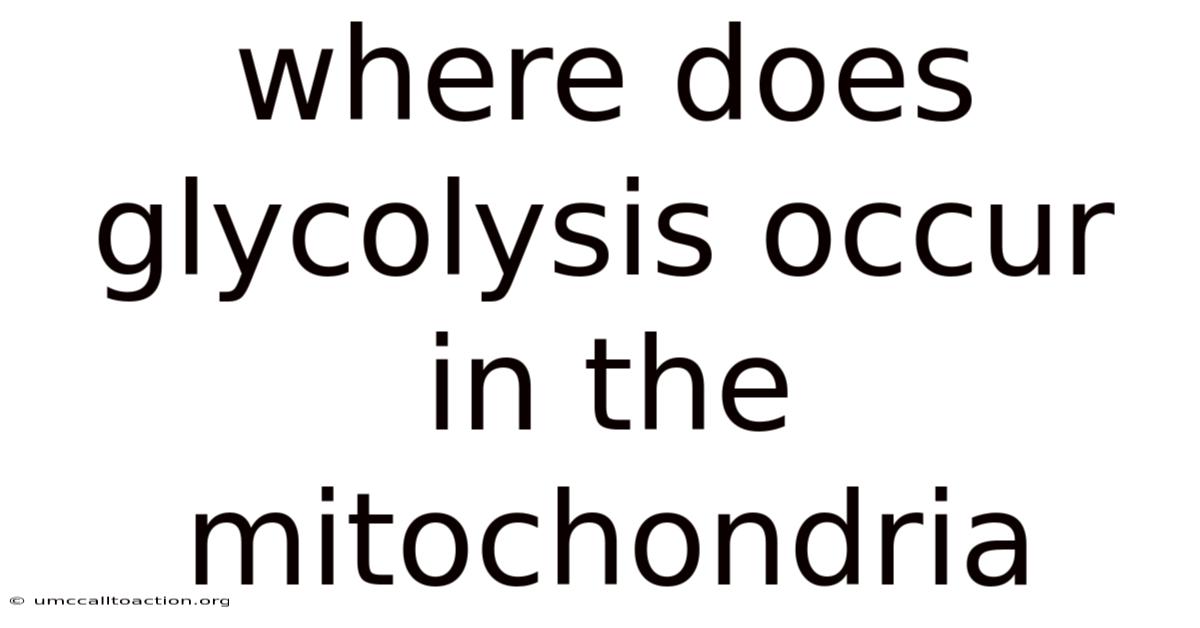 Where Does Glycolysis Occur In The Mitochondria