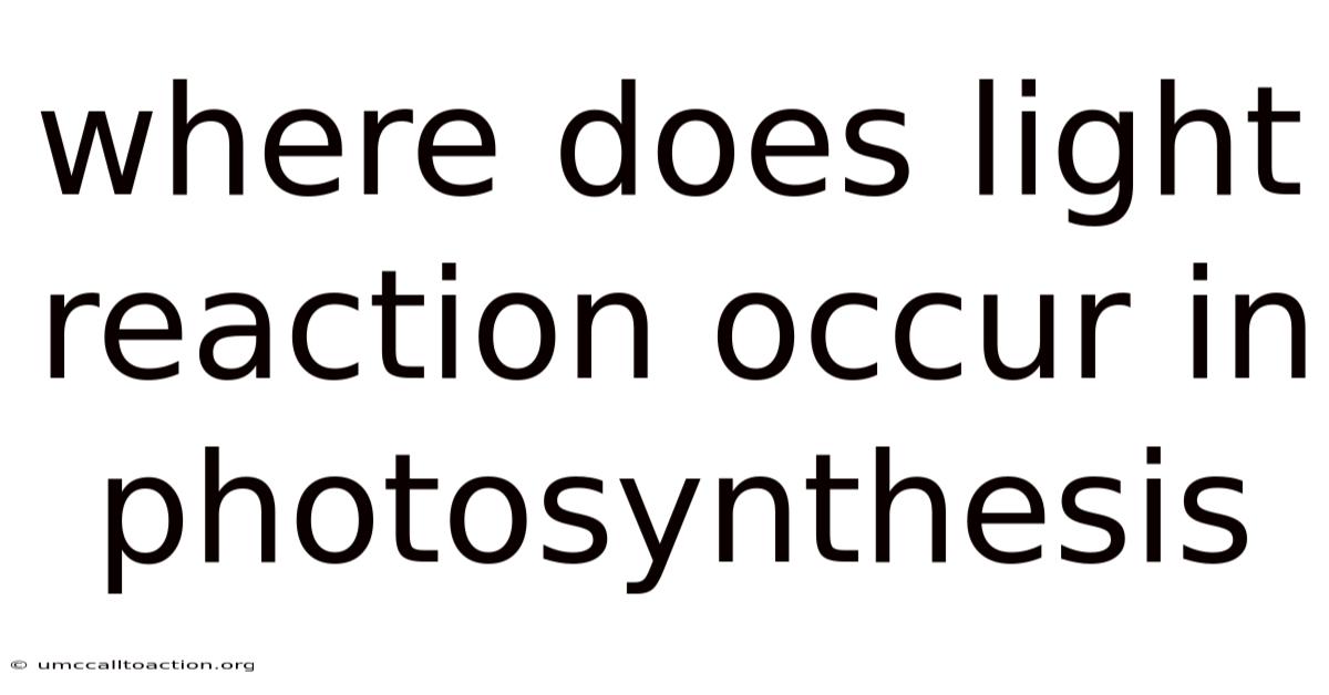 Where Does Light Reaction Occur In Photosynthesis
