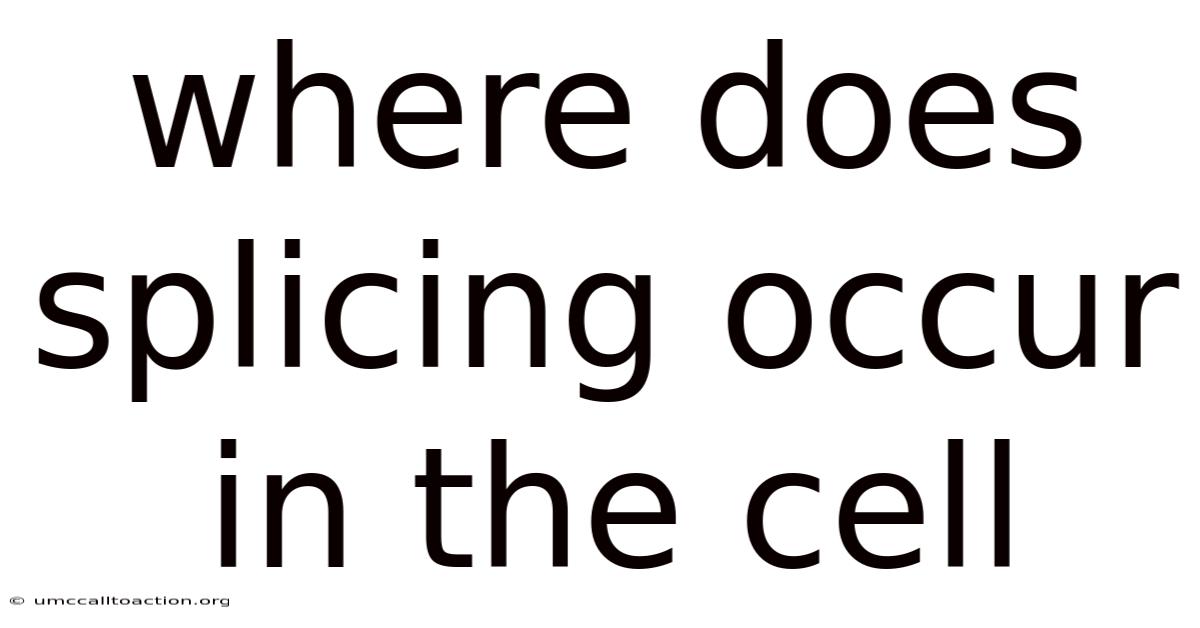 Where Does Splicing Occur In The Cell