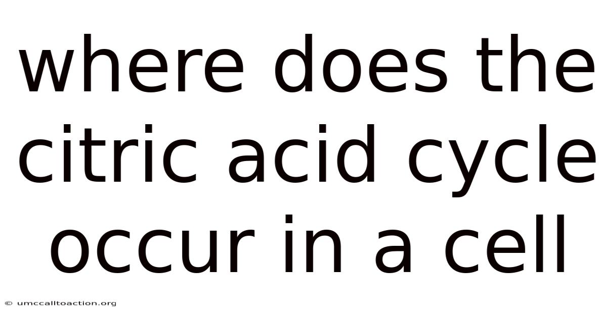 Where Does The Citric Acid Cycle Occur In A Cell