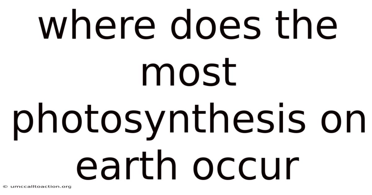 Where Does The Most Photosynthesis On Earth Occur