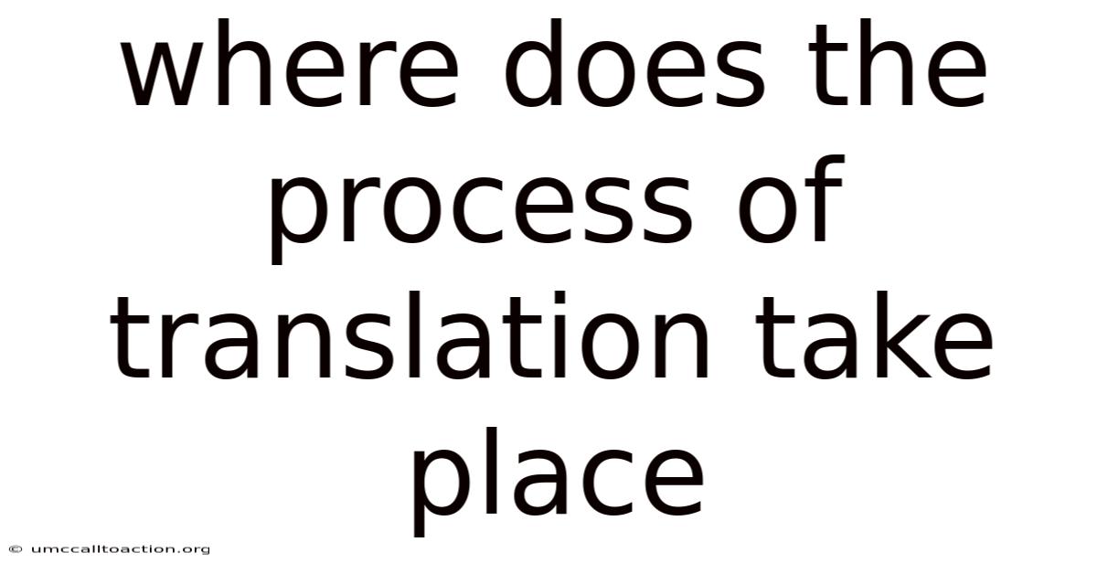 Where Does The Process Of Translation Take Place