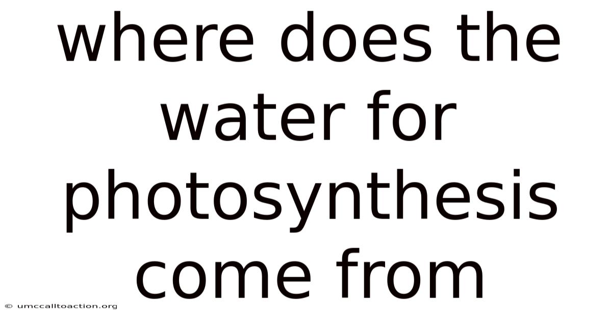 Where Does The Water For Photosynthesis Come From