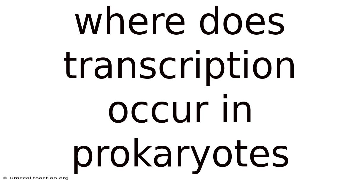 Where Does Transcription Occur In Prokaryotes