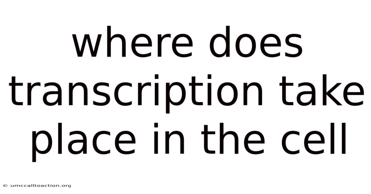 Where Does Transcription Take Place In The Cell