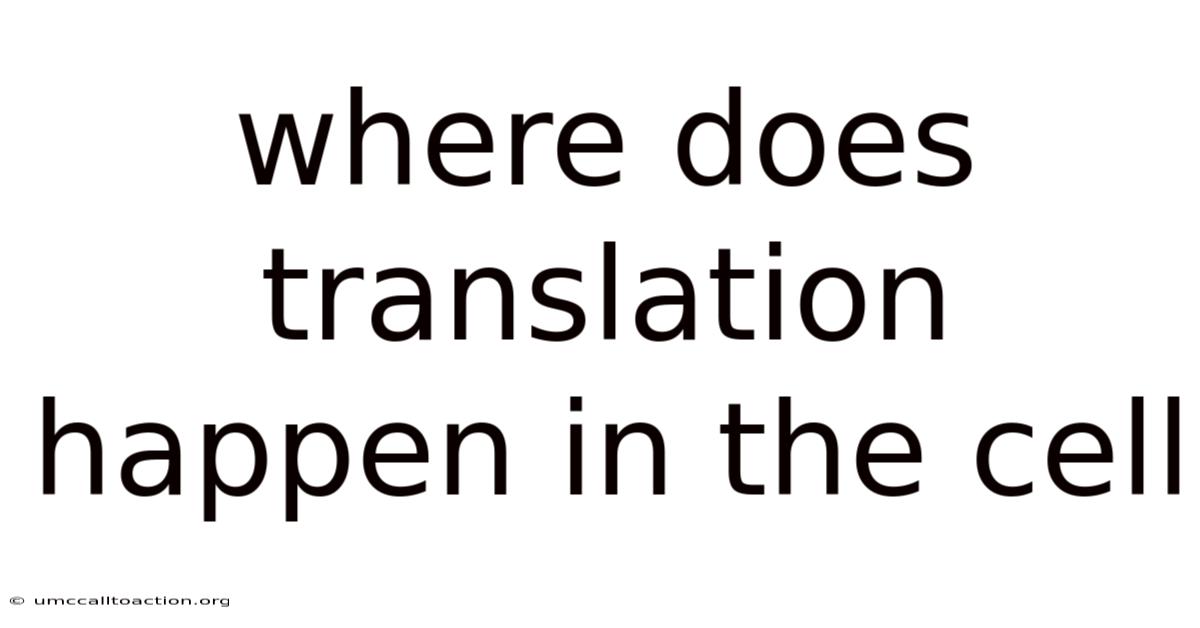 Where Does Translation Happen In The Cell