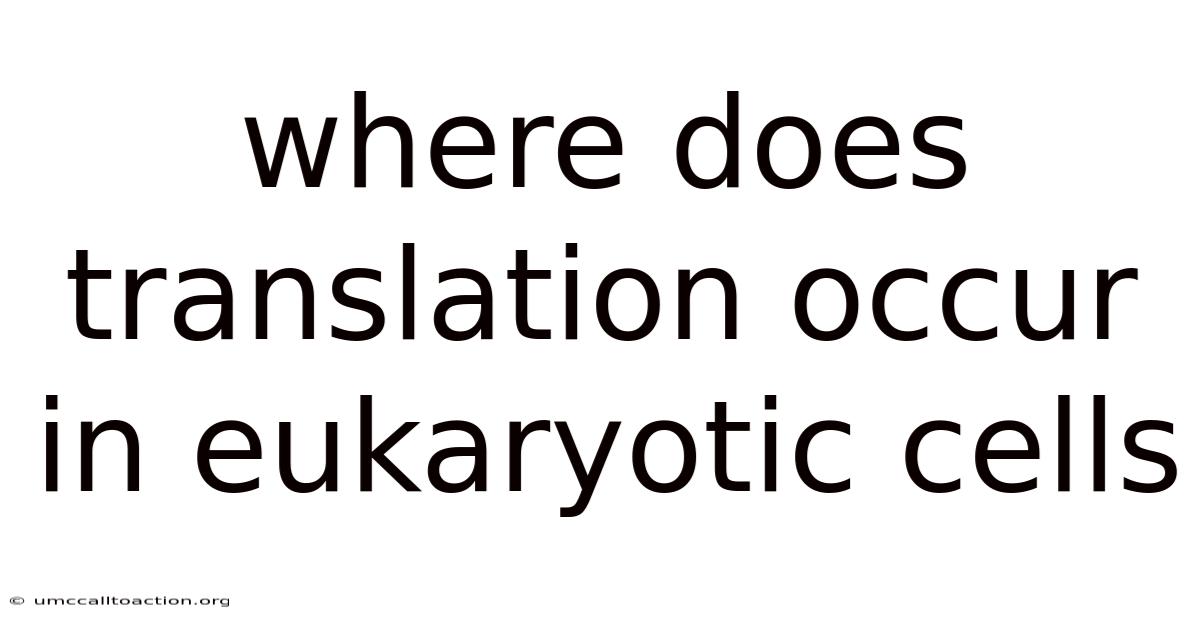 Where Does Translation Occur In Eukaryotic Cells