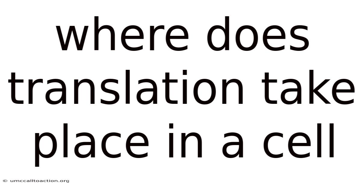 Where Does Translation Take Place In A Cell