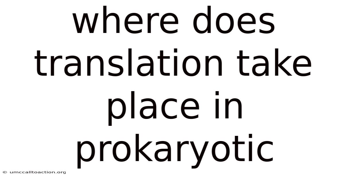 Where Does Translation Take Place In Prokaryotic